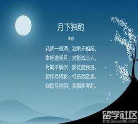 中秋节相关诗句视频爆料,揭秘经典诗句背后的中秋故事