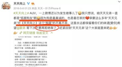 爆料离婚娱乐圈怎么办,应对策略与舆论引导  第2张