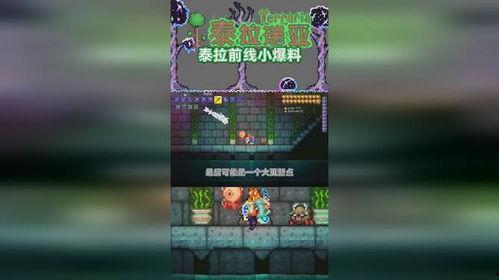 金鸡前线最新爆料,最新爆料背后的精彩故事 第2张 金鸡前线最新爆料,最新爆料背后的精彩故事 第2张