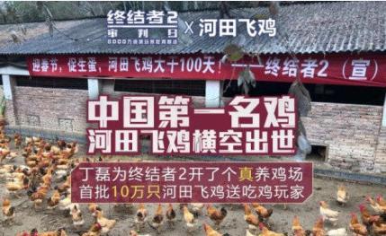 鸡场老板爆料事件视频大全,揭秘养殖行业黑幕视频大全 第3张 鸡场老板爆料事件视频大全,揭秘养殖行业黑幕视频大全 第3张