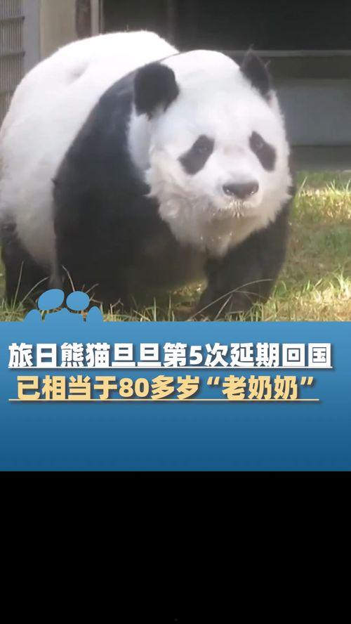 大象新闻爆料电话,揭秘背后惊人真相  第2张