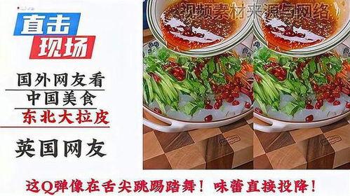 东北饮食爆料视频下载,揭秘热门饮食爆料视频背后的美味故事  第2张