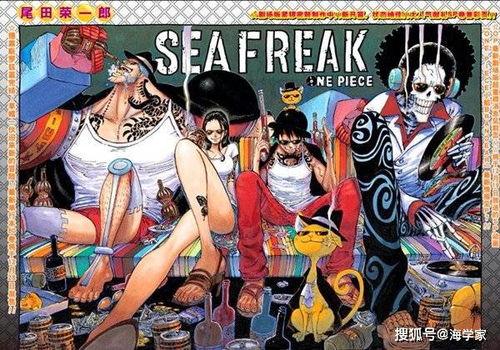 鬼叔爆料魔方海贼团视频,魔方海贼团神秘面纱背后的真相