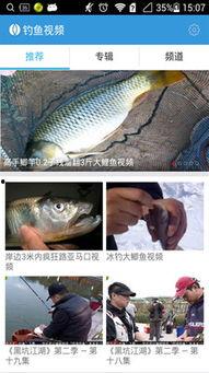 钓鱼爆料视频下载大全,揭秘钓鱼技巧与实战解析  第3张