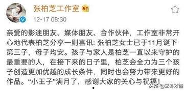 娱记的好爸爸爆料视频,育儿日常温馨瞬间