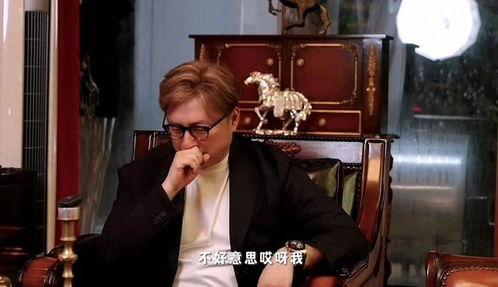 娱乐圈大爆料王岳伦视频,娱乐圈大爆料背后的真相揭秘  第3张