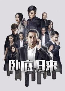 卧底归来在线观看免费版,揭秘卧底生涯，免费版在线观看