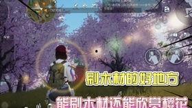 黎明觉醒最新时装爆料,时尚新篇章，揭秘最新时装爆料  第3张