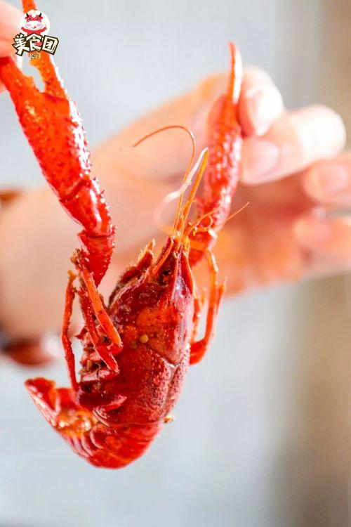 厦门龙虾爆料视频播放大全,视频播放大全带你领略海鲜美味  第3张