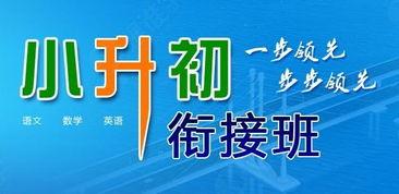 茂名小升初爆料新闻报道,揭秘升学内幕，家长学生关注焦点