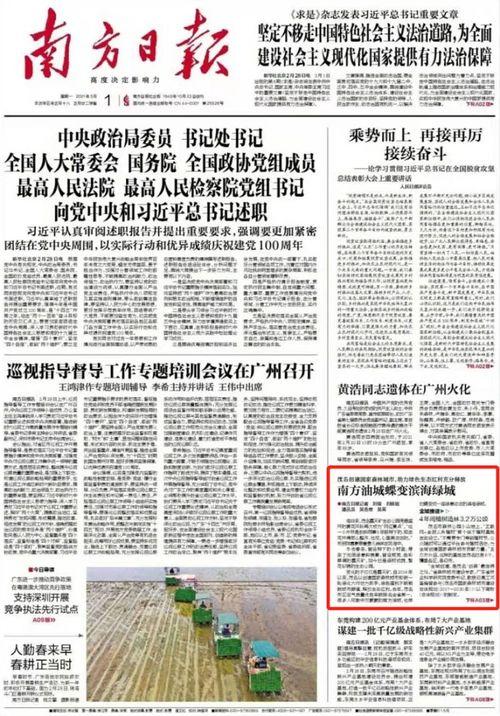 茂名小升初爆料新闻报道,揭秘升学内幕，家长学生关注焦点  第2张
