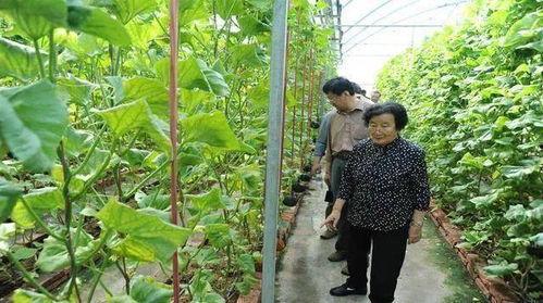 玉林吃瓜最新事件爆料是真的吗,最新爆料真相揭秘  第3张