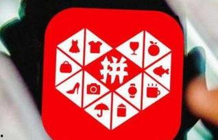 拼多多视频爆料,揭秘电商巨头背后的秘密