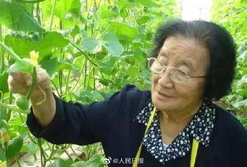 迅雷吃瓜网红是谁啊图片,网络红人的崛起与争议  第3张
