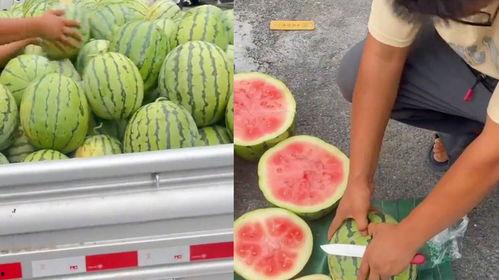 山东吃生瓜的网红叫什么,惊险刺激引关注  第3张