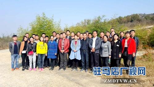确山县城热点新闻爆料,最新热点新闻揭秘  第2张