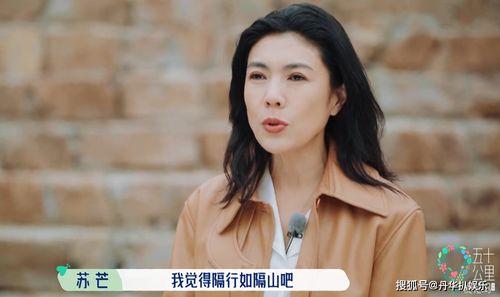 吃瓜小助理徐璐小说免费阅读,揭秘娱乐圈背后的秘密  第2张