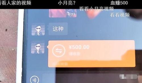 宝哥八卦爆料视频大全,视频大全背后的精彩故事  第3张