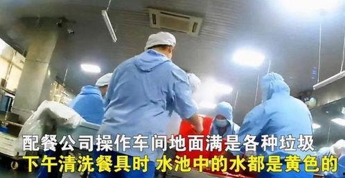 天津配餐脏乱视频爆料者,揭露后厨卫生黑幕