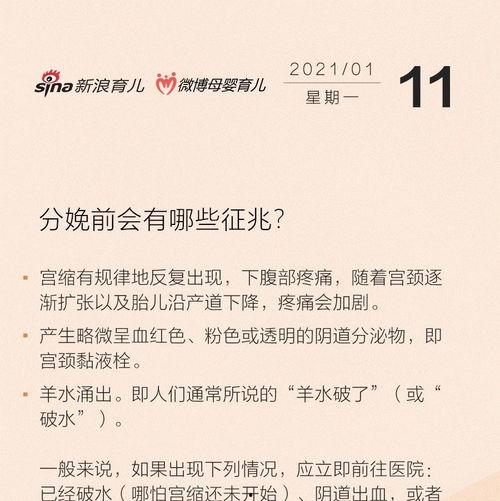 金莎最新爆料新闻事件视频,揭秘娱乐圈惊人内幕！  第3张
