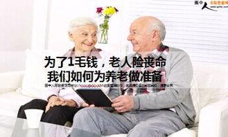 免费毛钱在线观看,揭秘热门影视资源免费获取之道  第3张