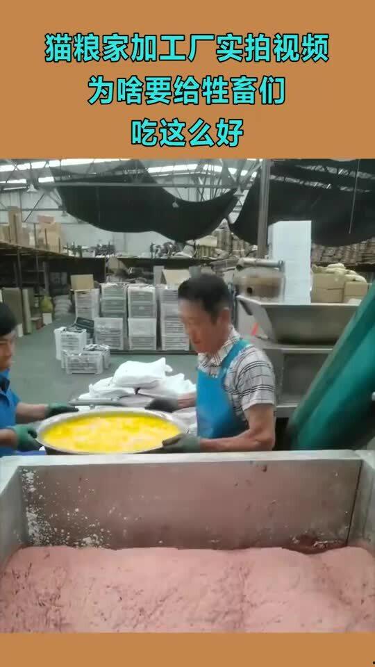 猫粮工厂爆料视频,内幕视频曝光生产过程  第3张