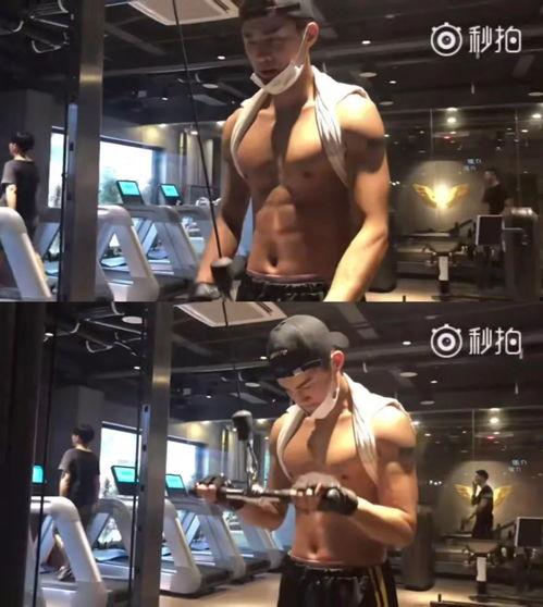 爆料原动健身视频下载,独家爆料带你领略健身魅力