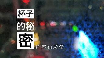 辽宁饭店爆料视频大全集,揭秘幕后真相与精彩瞬间  第2张