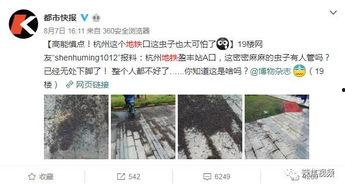 网友小黑爆料的视频在哪里看,小黑爆料视频观看指南，独家解析热门视频来源  第2张