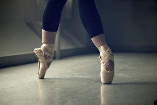 芭蕾舞鞋爆料视频大全集,视频大全集深度解析