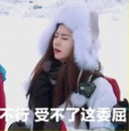 团员爆料张紫宁视频播放,网友热议幕后真相