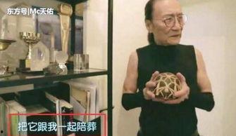 谢贤爆料王菲视频,独家视频曝光惊人细节