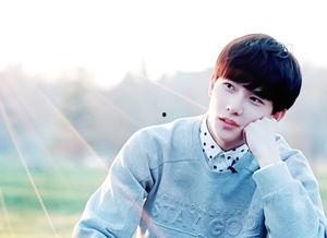 杨洋刘亦菲最新爆料,揭秘幕后故事与情感纠葛 第3张 杨洋刘亦菲最新爆料,揭秘幕后故事与情感纠葛 第3张