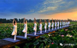 莲花县今日爆料,揭秘当地热点事件背后的真相 第3张 莲花县今日爆料,揭秘当地热点事件背后的真相 第3张