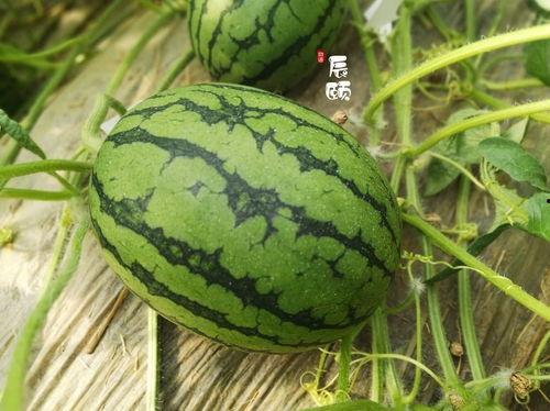 当前娱乐吃瓜,揭秘明星幕后故事