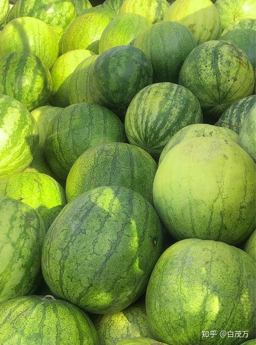 当前娱乐吃瓜,揭秘明星幕后故事 第2张 当前娱乐吃瓜,揭秘明星幕后故事 第2张