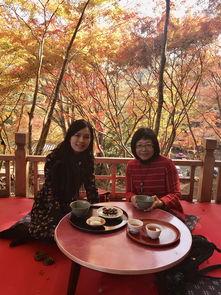 美味的相遇在线观看,在线观看美食佳肴的视觉盛宴 第2张 美味的相遇在线观看,在线观看美食佳肴的视觉盛宴 第2张