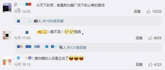 免费吃瓜qq图集大全网站,海量趣味图集等你来翻 第2张 免费吃瓜qq图集大全网站,海量趣味图集等你来翻 第2张