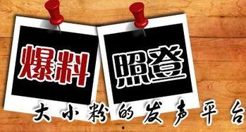 本地爆料新闻去哪里找,[具体新闻事件]深度解析