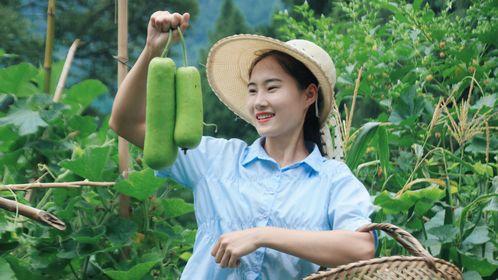 娱乐吃瓜酱老伞,揭秘老伞背后的故事与传奇  第3张