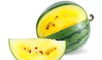 各种娱乐吃瓜图,揭秘明星们的幕后吃瓜大作战 第3张 各种娱乐吃瓜图,揭秘明星们的幕后吃瓜大作战 第3张