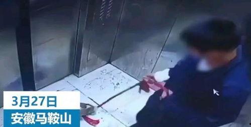 辽宁男孩爆料视频最新版 第2张 辽宁男孩爆料视频最新版 第2张