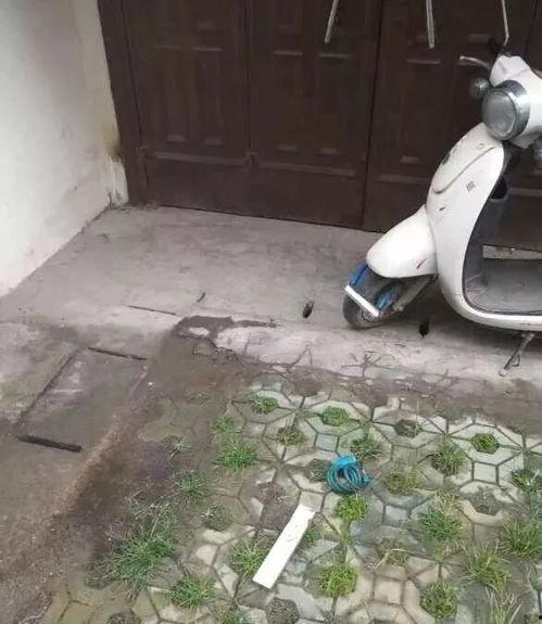 爆料开锁视频,跟随视频学习专业开锁过程 第2张 爆料开锁视频,跟随视频学习专业开锁过程 第2张