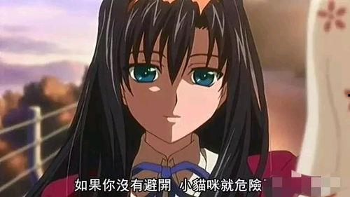 寄住姐妹在线观看,揭秘现代都市姐妹情的温暖与挑战  第3张