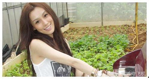 娱乐爆料湾湾小天后,揭秘明星幕后故事