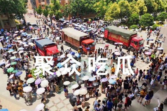 学生免费吃瓜视频,学生免费吃瓜活动欢乐上演