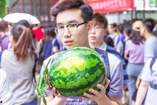 学生免费吃瓜视频,学生免费吃瓜活动欢乐上演 第2张 学生免费吃瓜视频,学生免费吃瓜活动欢乐上演 第2张