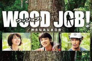 神去村电影在线观看,探寻神秘村落，揭秘奇幻之旅  第2张