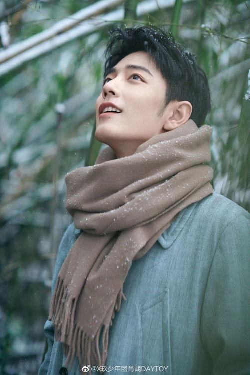 爆料娱乐圈杨紫肖战是谁,杨紫肖战神秘关系引热议  第2张