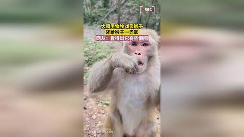 打猴子在线观看,惊险刺激的动物世界冒险之旅  第2张